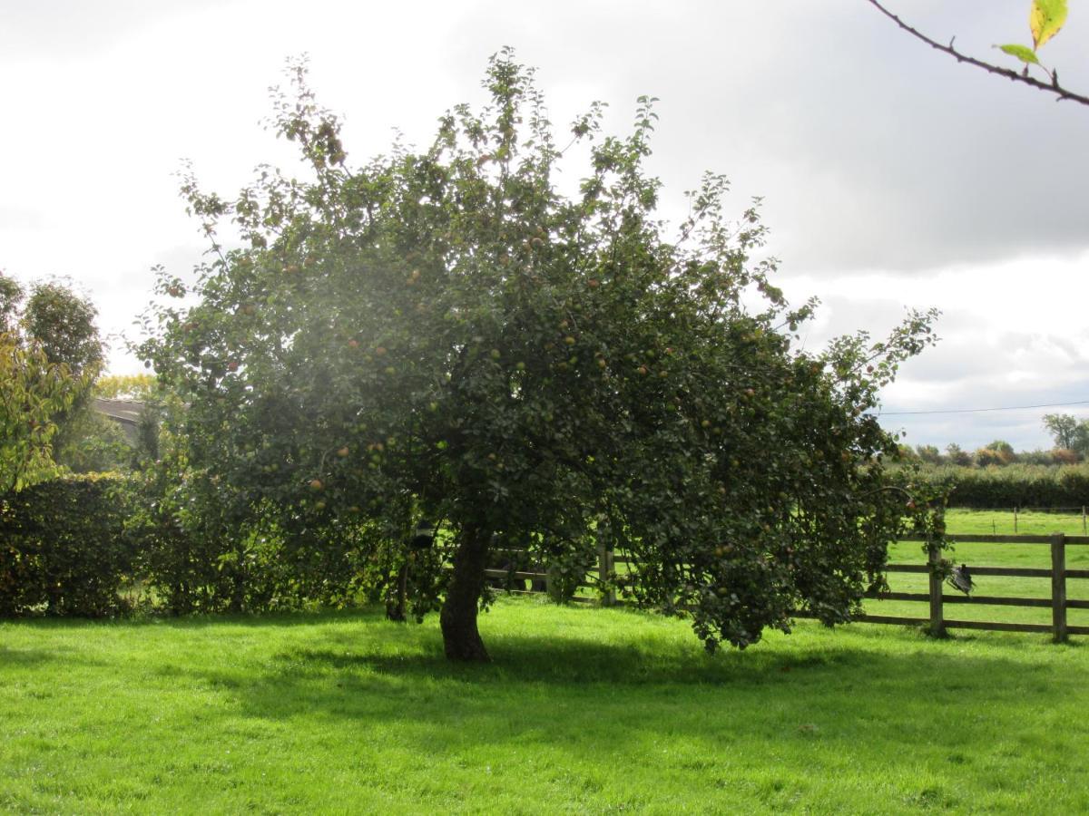 Weston Hill Farm Bed and Breakfast Moreton Pinkney Εξωτερικό φωτογραφία